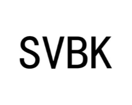 SVBK商标原图 第25类服装鞋帽