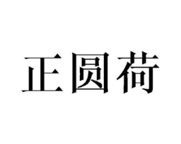 正圆荷商标原图 第25类服装鞋帽