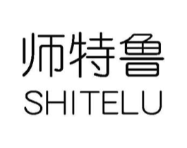师特鲁商标原图 第25类服装鞋帽
