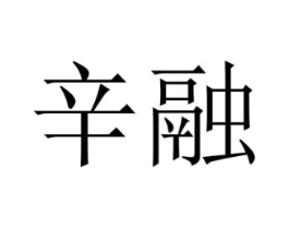 辛融商标原图 第25类服装鞋帽