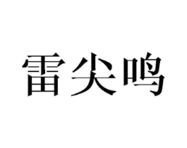 雷尖鸣商标原图 第25类服装鞋帽