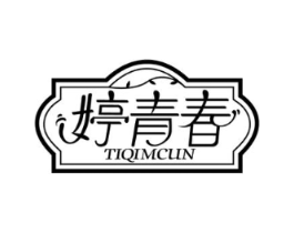 婷青春 TIQIMCUN商标原图 第25类服装鞋帽