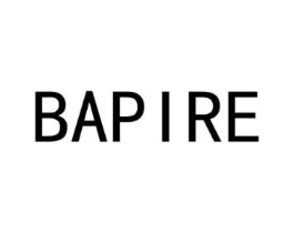 BAPIRE商标原图 第25类服装鞋帽