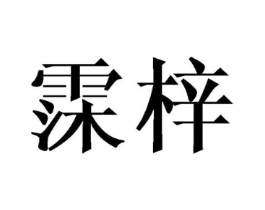 霂梓商标原图 第25类服装鞋帽