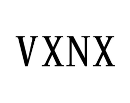 VXNX商标原图 第25类服装鞋帽