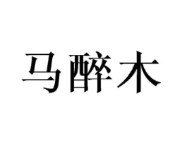 马醉木商标原图 第25类服装鞋帽