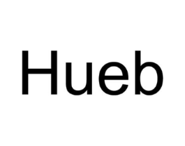 HUEB商标原图 第25类服装鞋帽