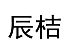 辰桔商标原图 第25类服装鞋帽