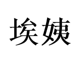 埃姨商标原图 第25类服装鞋帽
