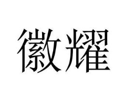 徽耀商标原图 第25类服装鞋帽