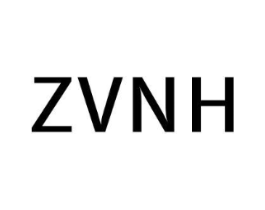 ZVNH商标原图 第25类服装鞋帽