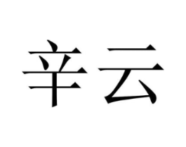 辛云商标原图 第25类服装鞋帽
