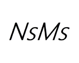 NSMS商标原图 第25类服装鞋帽