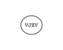 VJZV商标原图 第25类服装鞋帽