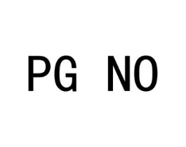 PG NO商标原图 第25类服装鞋帽