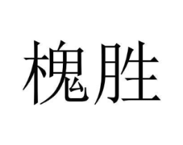 商标原图