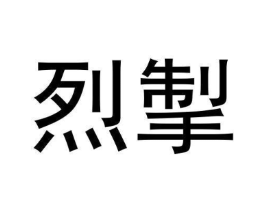 烈掣商标原图 第25类服装鞋帽