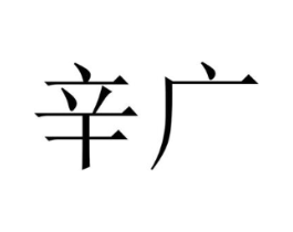 辛广商标原图 第25类服装鞋帽