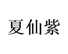 夏仙紫商标原图 第25类服装鞋帽