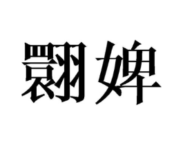 翾婢商标原图 第25类服装鞋帽