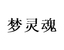 梦灵魂商标原图 第25类服装鞋帽