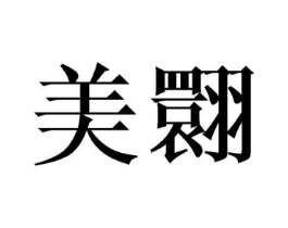 美翾商标原图 第25类服装鞋帽