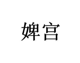 婢宫商标原图 第25类服装鞋帽