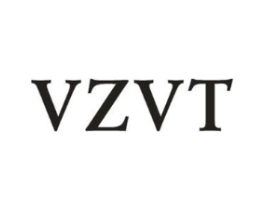 VZVT商标原图 第25类服装鞋帽