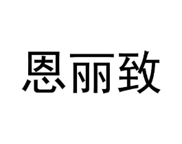 恩丽致商标原图 第25类服装鞋帽