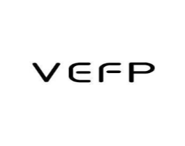 VEFP商标原图 第25类服装鞋帽