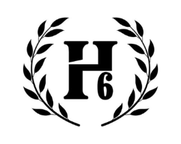 H6商标原图 第25类服装鞋帽