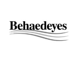BEHAEDEYES商标原图 第25类服装鞋帽