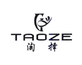 淘择商标原图 第25类服装鞋帽