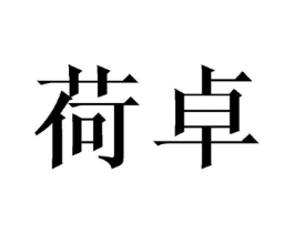荷卓商标原图 第25类服装鞋帽