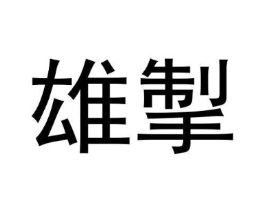雄掣商标原图 第25类服装鞋帽