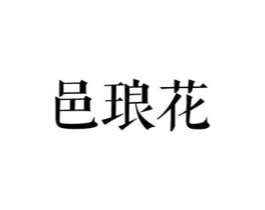 邑琅花商标原图 第25类服装鞋帽