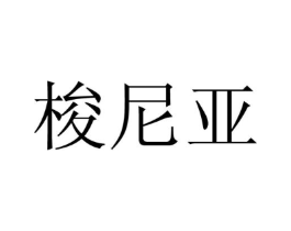 梭尼亚商标原图 第25类服装鞋帽