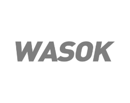 WASOK商标原图 第25类服装鞋帽