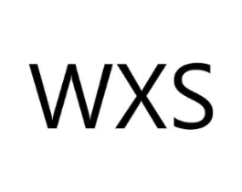 WXS商标原图 第25类服装鞋帽