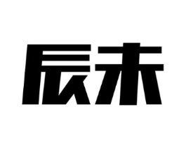 辰未商标原图 第25类服装鞋帽