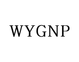 WYGNP商标原图 第25类服装鞋帽