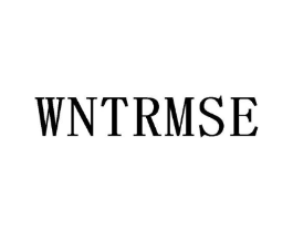 WNTRMSE商标原图 第25类服装鞋帽