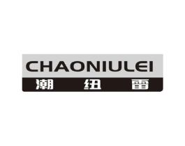 潮纽雷商标原图 第25类服装鞋帽