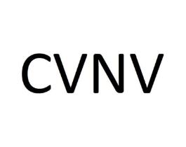 CVNV商标原图 第25类服装鞋帽
