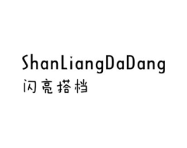 闪亮搭档商标原图 第25类服装鞋帽
