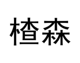 楂森商标原图 第25类服装鞋帽