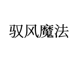 驭风魔法商标原图 第25类服装鞋帽