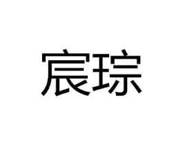 宸琮商标原图 第25类服装鞋帽