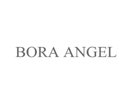 BORA ANGEL商标原图 第25类服装鞋帽