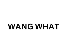 WANG WHAT商标原图 第25类服装鞋帽